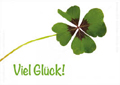 Viel Glück im neuen Jahr!